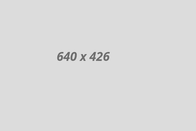 project-img02
